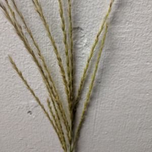 Meet your Posher, Ericka